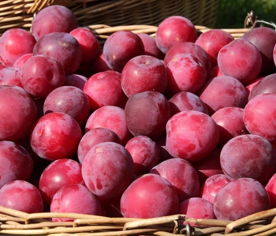 Алыча Кубанская Комета